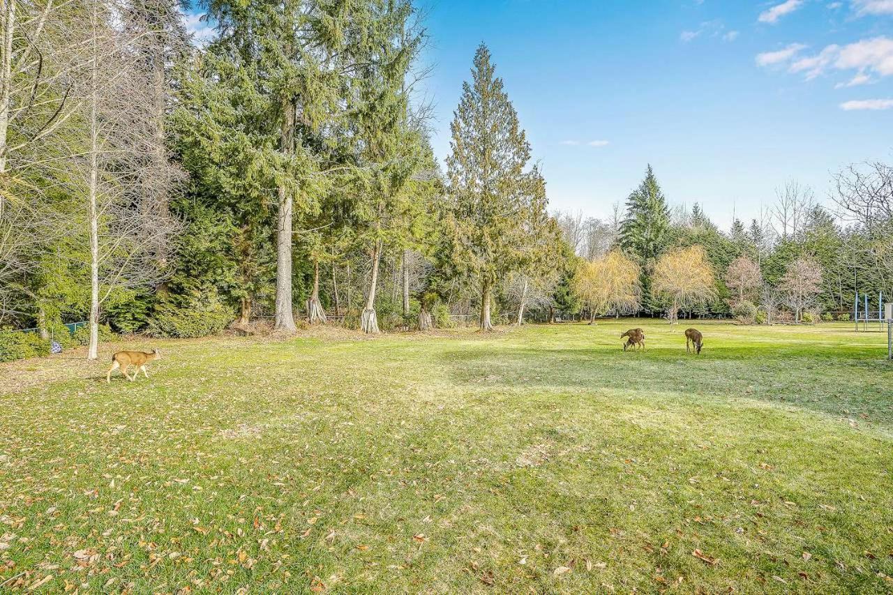 Beautiful 3-Bedroom Suite On 1 Acre Maple Ridge Exterior photo